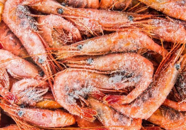 Crevettes congelées ❄🍤 : comment les cuisiner ?