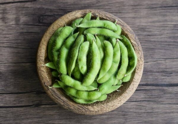 Comment cuire de l&rsquo;edamame ?