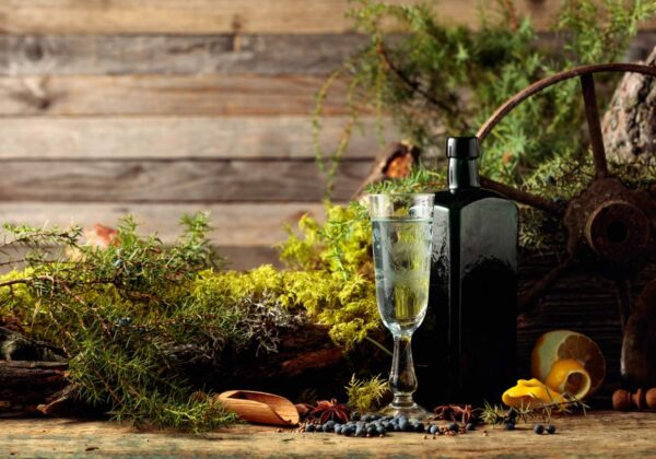 Meilleur gin en 2020 : Guide d&rsquo;achat