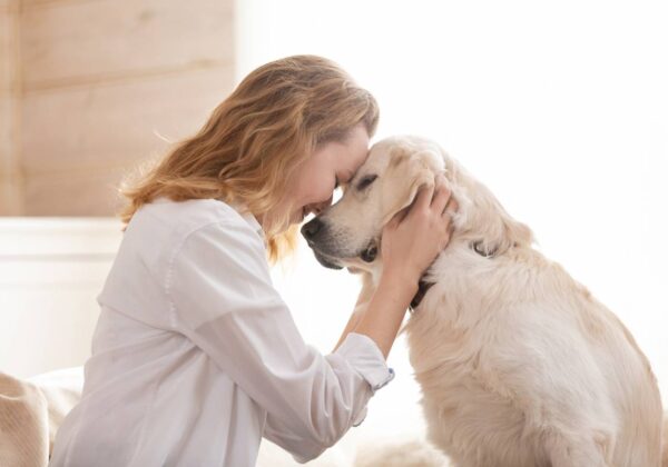 Animaux de compagnie et album photo : on ne les oublie pas