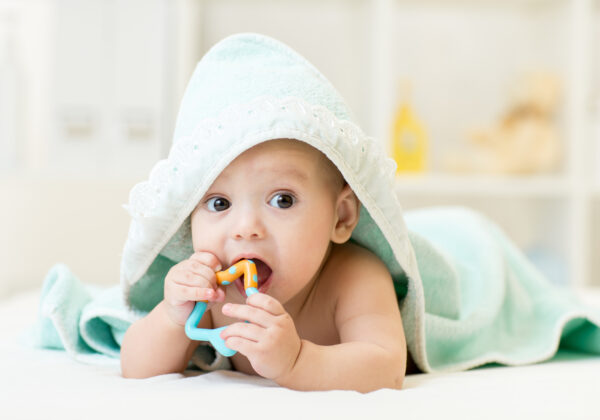 Les dents de bébé